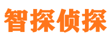 阜宁外遇调查取证